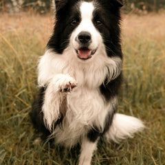 Collection image for: Voetverzorging