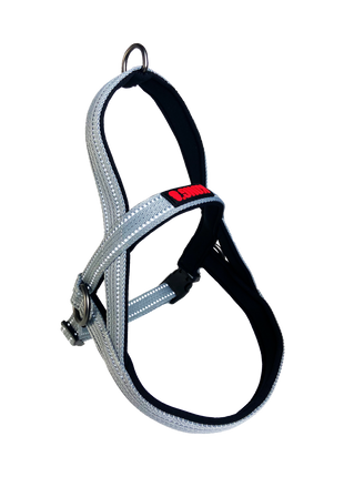 KONG Norwegian Harness