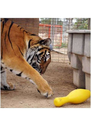Tuggo Shake N Fetch - Large