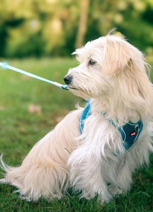 Zolux Szelki oddychające z siatki XS granatowe