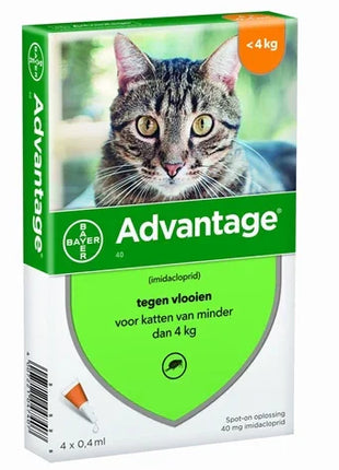 Bayer Advantage Kat