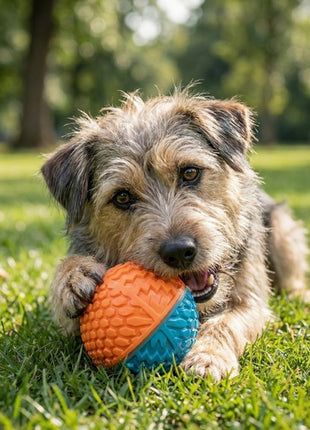 Zolux Zabawka gryzak piłka Tao 8cm