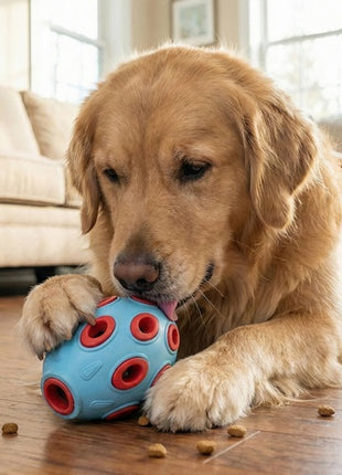 Zolux Zabawka na przysmaki do aportowania jajko 12cm