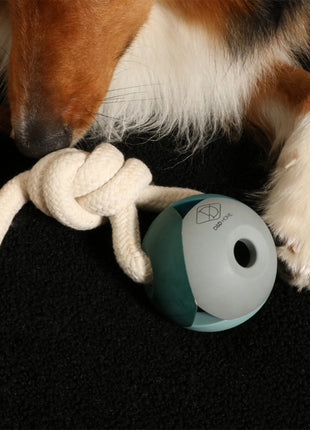 D&D Hundespielzeug Nora