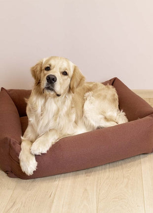 D&D Hundebett Eden