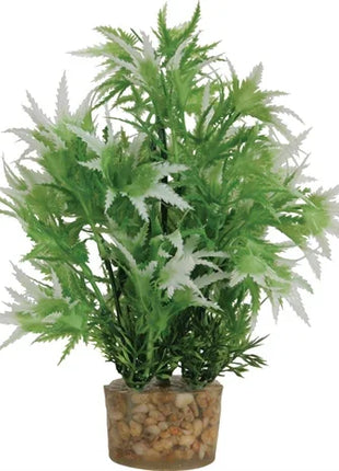 Zolux Ornament Pastic Plant Op Stenen Neutraal Assorti