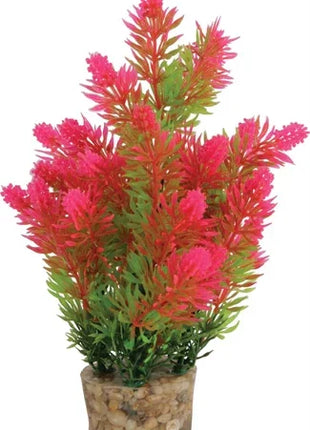 Zolux Ornament Pastic Plant Op Stenen Puntig Assorti