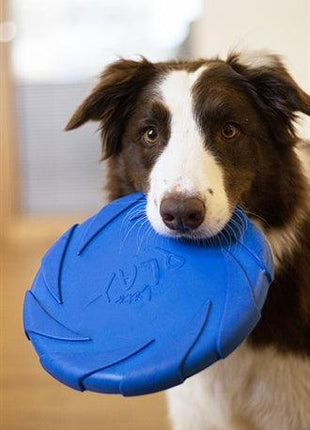 Battersea Foam Flyer Blauw