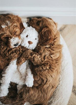 My Dog Beer Pluche Creme