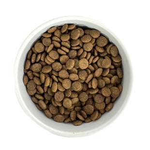 Budget Premium Quality Senior Kattenvoer – 1 kg – Voor Oudere en Gesteriliseerde Katten