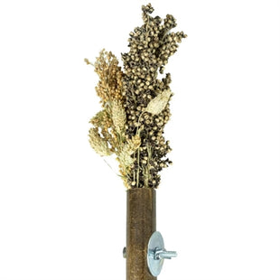 Back Zoo Nature Grass Keeper