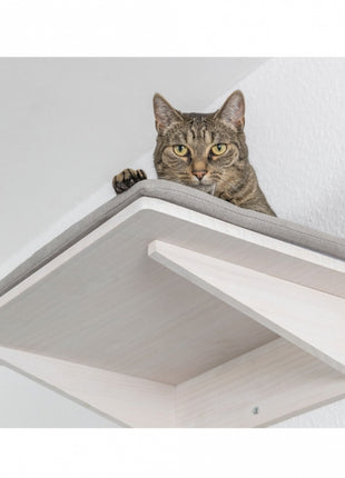 Trixie Liegeplatte zur Wandmontage