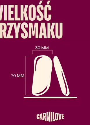 Carnilove Dog Jerky Lamb & Salmon - jagnięcina i łosoś 100g