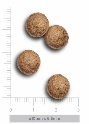 Amanova Dog Adult Mini Exquisite Chicken - kurczak 2kg