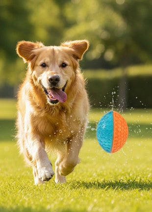 Zolux Zabawka do aportowania piłka rugby Tao 8,5cm