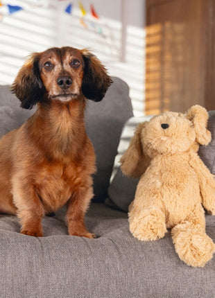 Beeztees Hundespielzeug Hund Vajen