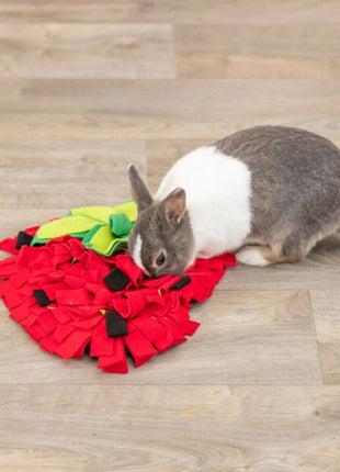 Trixie Schnüffelteppich Erdbeere für Kleintiere