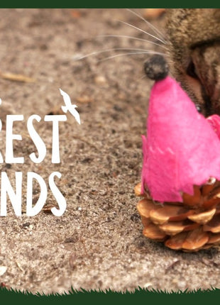 Forest Friends Mouse Blauw