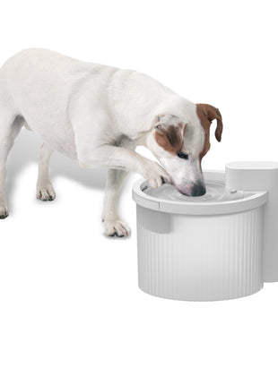 AFP Lifestyle 4 Pets Wireless Fountain