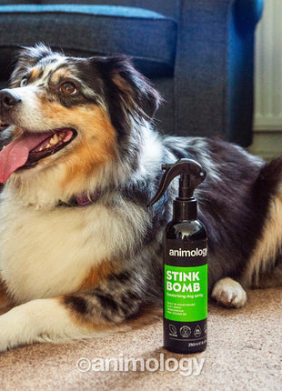 Animology Stink Bomb Deodorising Dog Spray 250 ml