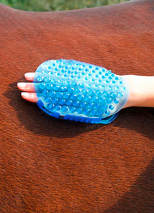 Borstel magneet massage Blauw