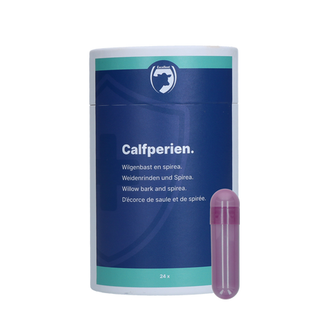 Excellent Calfperien 24 x 7 g