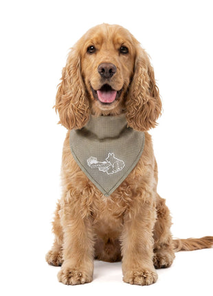 Coolpets Cooling Bandana Beige