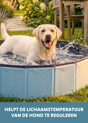 CoolPets Splash Dog Pool ø 120 x 30 cm