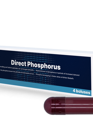 Direct Phosphorus 4 x 123 g