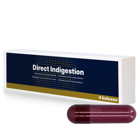 Direct Indigestion 4 x 76 g