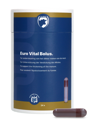 Excellent Euro-Vital Bolus 24 x 10 g