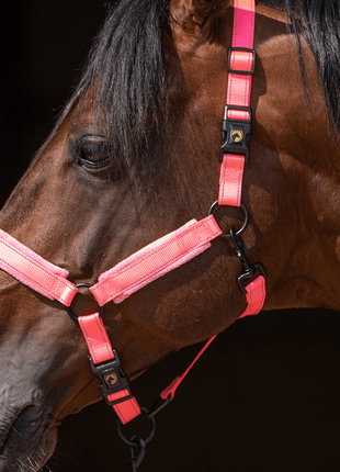 Excellent Superior Halster Roze