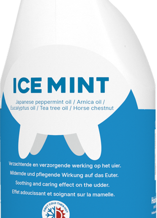 Ice Mint Gel Sta en hangtube