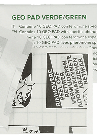 Geo Lijmplaat Levensmiddelenmot