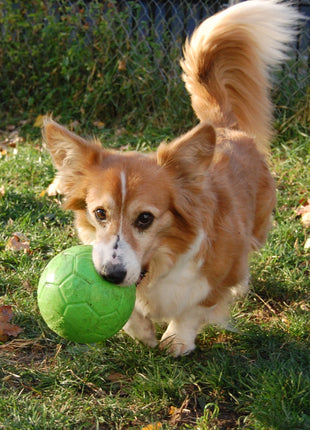 Jolly Soccer Ball Groen
