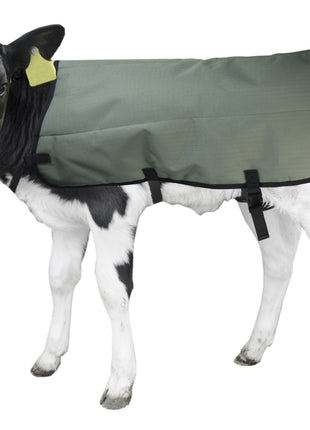 Calf Coat Kalverdek (Private Label)
