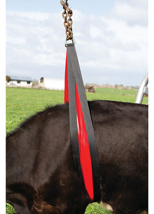Koelifter Belly Strap Front Lift 2,4 meter
