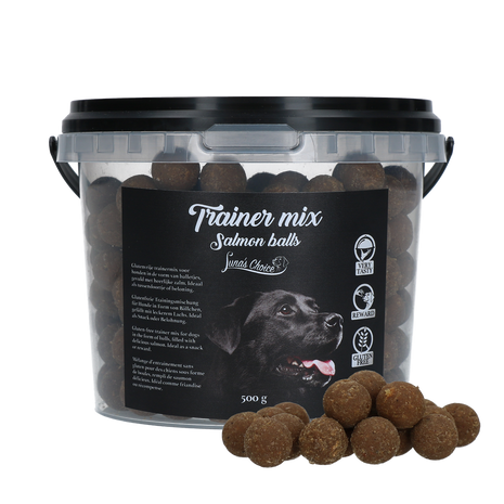 Luna's Choice Trainer Mix Zalm Balletjes (glutenvrij)