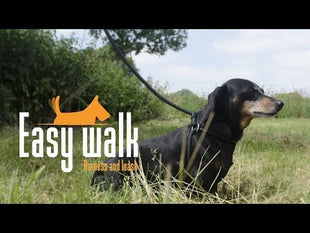 Easy Walk Handmodel