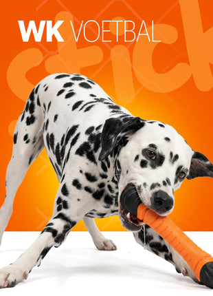 Oranje Apporteerstick S