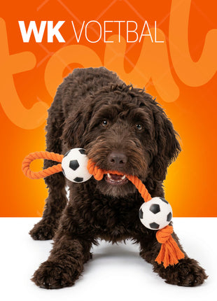 Oranje Flostouw Voetballen