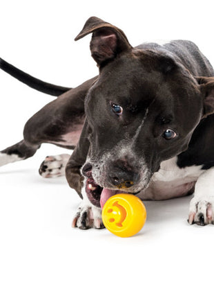 Outward Hound Orbee-Tuff Nooks Geel