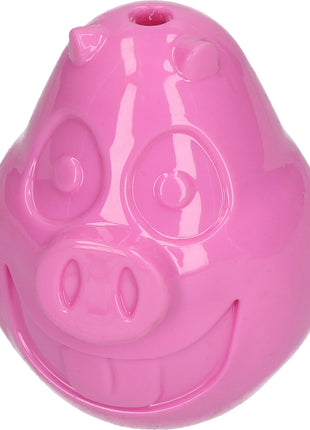 Petsport Mojo Friends Varken L