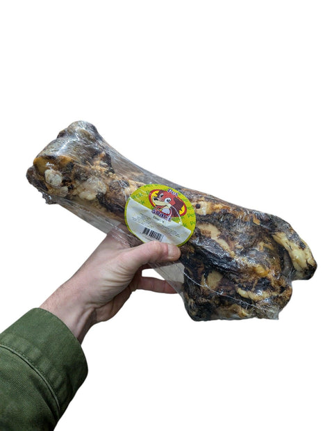 Petsnack Dinobot Verpakt - 100% natuurlijk Kauwbot van ca 30 cm