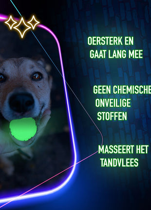 2 Glow Treat Bone of it's Own