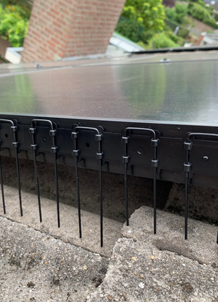 Vogelpinnen Zonnepanelen 50 cm Zwart