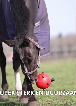 Excellent Horse Fun Play Ball Rood