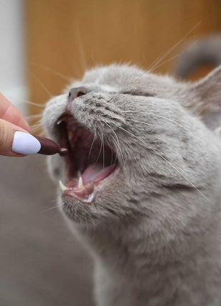 UrinoVet Cat 45 tabletek