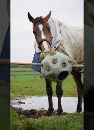 Excellent Horse Feed & Play Ball Zwart