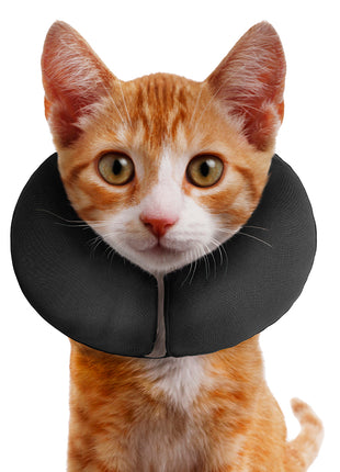 Zenpet ProCollar